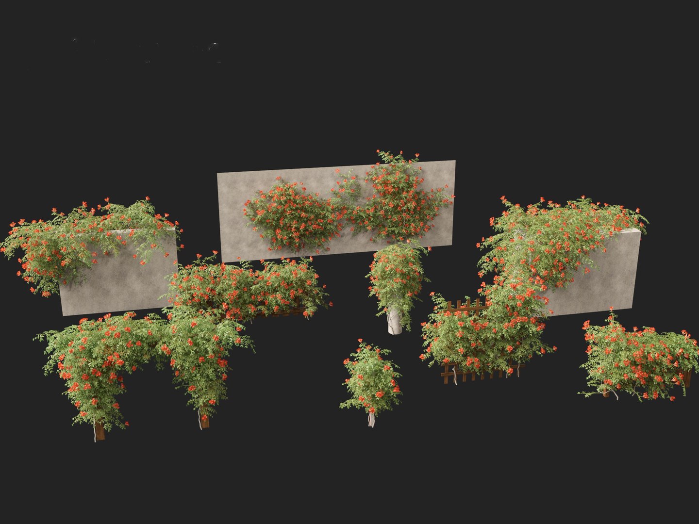 Campsis radicans - Trumpet vine 3D model https://p.turbosquid.com/ts-thumb/HG/OB6KVb/f1/campsisradicans0112/jpg/1706532010/1920x1080/fit_q87/c6f2e3595155e8c71b2ac2ab27009119b3653434/campsisradicans0112.jpg