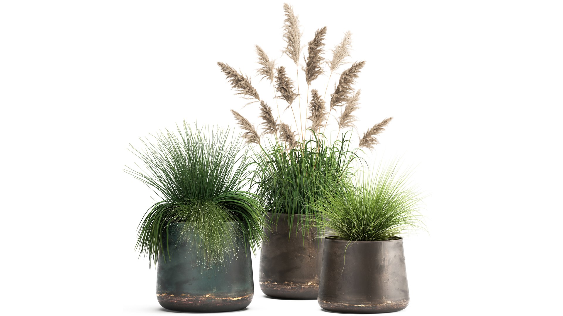 Reeds In A Rusty Flower Pot For The Interior 936 3D Model - TurboSquid ...