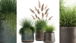 Reeds in a rusty flower pot for the interior 936 3D model