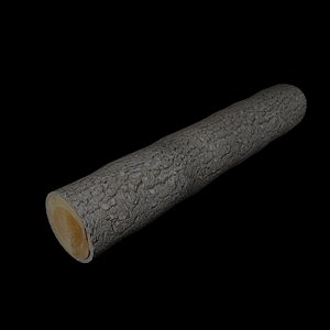 3d birch log