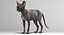 sphynx cats 3D model