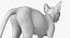 sphynx cats 3D model