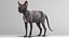 sphynx cats 3D model