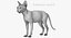 sphynx cats 3D model