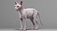 sphynx cats 3D model