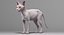 sphynx cats 3D model