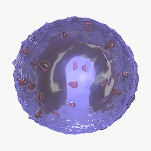 3D monocyte granule nucleus