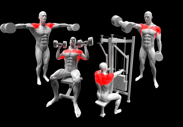 Lateral Raises Con Mancuernas Elevacion Frontal Vuelo Lateral