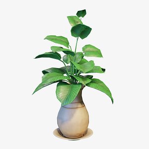 Stylized House Plant 33 3D model