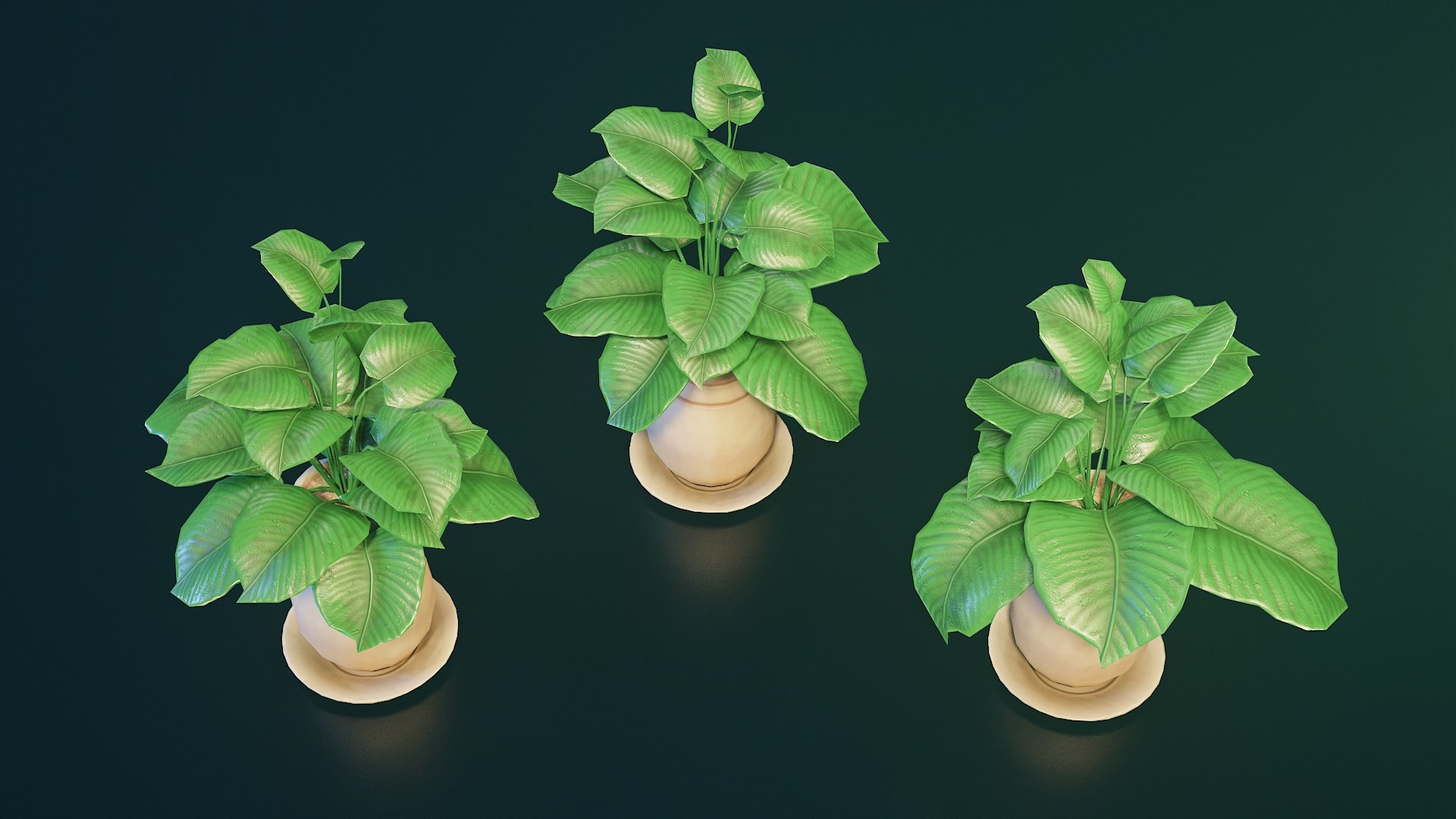 Stylized House Plant 33 3D model https://p.turbosquid.com/ts-thumb/HG/a5jyoA/FI/p33_001/jpg/1783084796/1920x1080/fit_q87/71a8d68f9675307e729295960a71ecf10c0046b7/p33_001.jpg