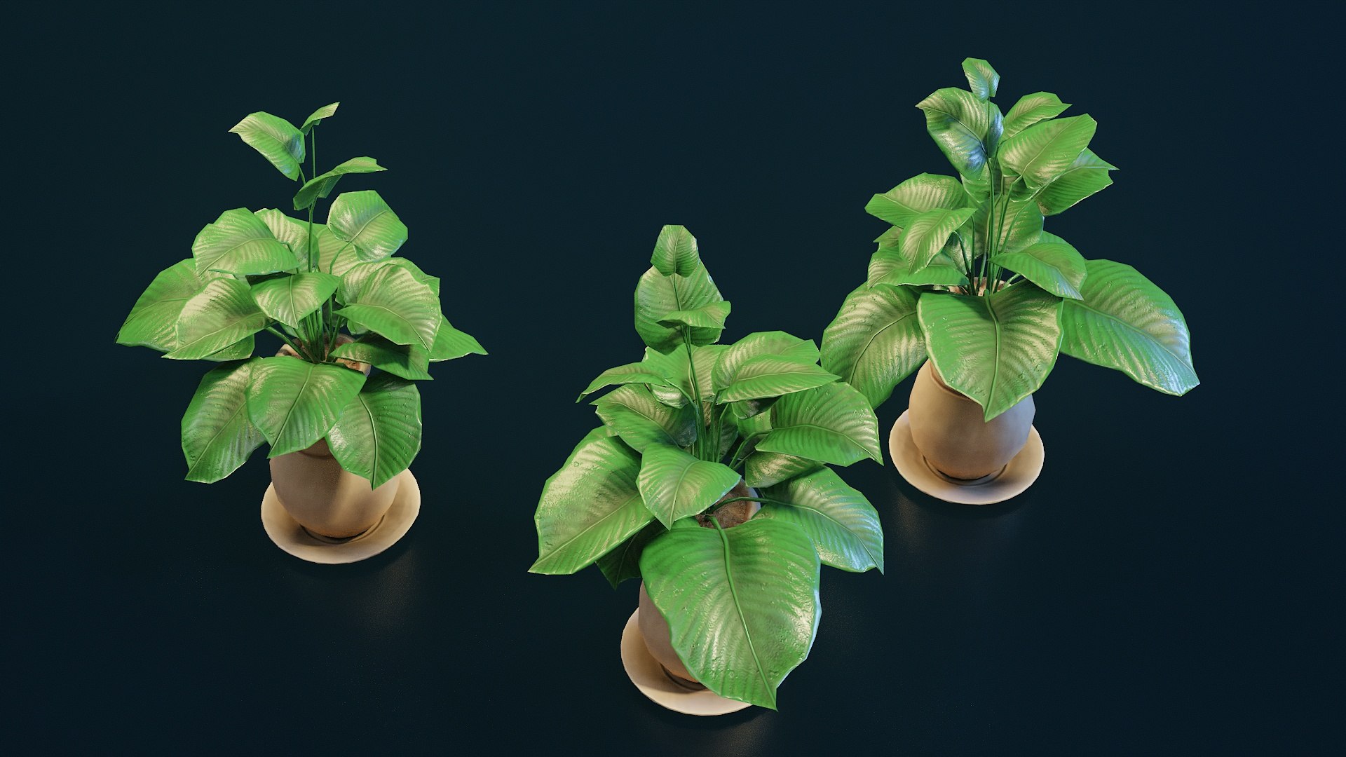 Stylized House Plant 33 3D model https://p.turbosquid.com/ts-thumb/HG/a5jyoA/Lt/p33_003/jpg/1783084796/1920x1080/fit_q87/db8eb56e00e6053cc38b53def7f1bb149d51c691/p33_003.jpg