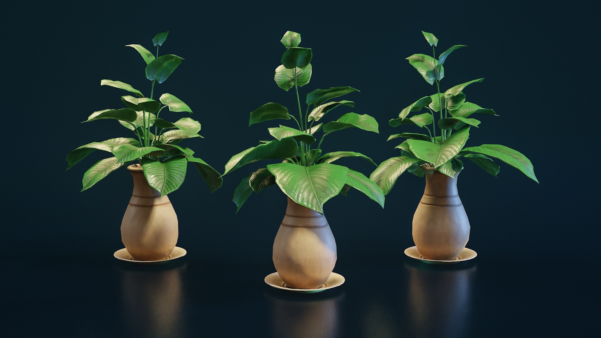 Stylized House Plant 33 3D model https://p.turbosquid.com/ts-thumb/HG/a5jyoA/sl/p33_002/jpg/1783084796/1920x1080/fit_q87/25f9c0141286cd84a7db2b1581d5164f59c5bb0a/p33_002.jpg