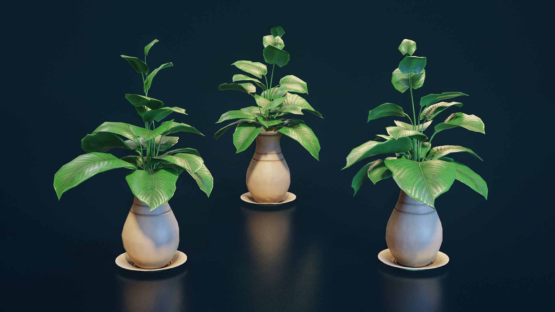 Stylized House Plant 33 3D model https://p.turbosquid.com/ts-thumb/HG/a5jyoA/uX/p33_005/jpg/1783084798/1920x1080/fit_q87/817da1b2be3561d28688ae1ab565696e26d8b24f/p33_005.jpg
