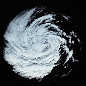 3D storm 8 model