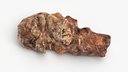 Grilled Beef Chunk - Photo Scan