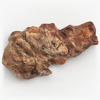 Grilled Beef Chunk - Photo Scan