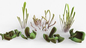 Grass Plant 3D model