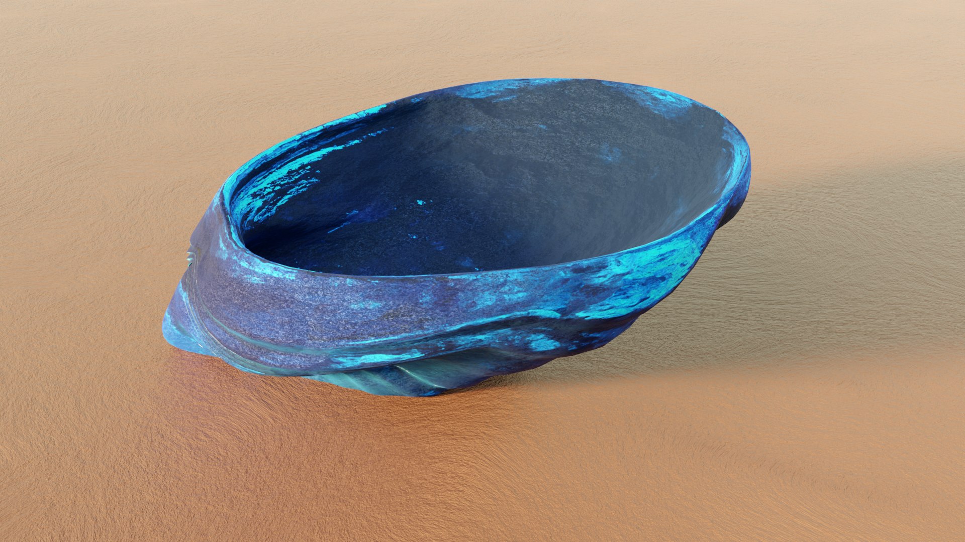 Fan Sea Shell 3D Model - TurboSquid 2081821