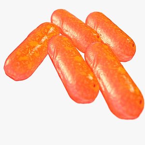 Bacillus