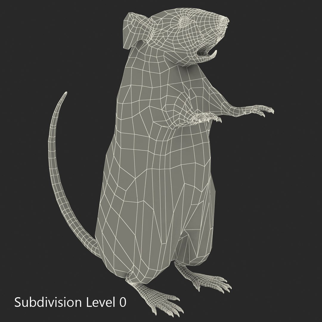 3d https://p.turbosquid.com/ts-thumb/HG/zpEQJ5/HQujIakg/mousepose3_6/jpg/1405611325/1920x1080/fit_q87/49a5bea22f5390b037fc81a91b6790f12074a7c8/mousepose3_6.jpg