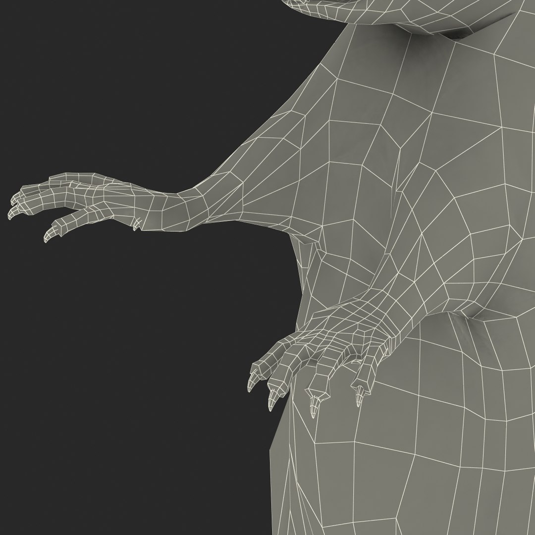 3d https://p.turbosquid.com/ts-thumb/HG/zpEQJ5/YmiyYzZQ/mousepose3_24/jpg/1405611391/1920x1080/fit_q87/1ac9cd62b6cfe598582301d12a9a4d6a038fc0ac/mousepose3_24.jpg