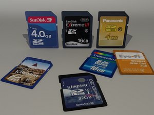 camera memory chips 3d max