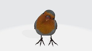 3D singing robin