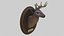 Taxidermied Deer Head Mount And Bear Rug With PBR Materials