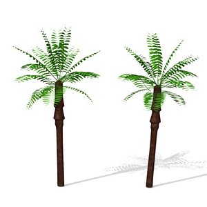 palm 3d model