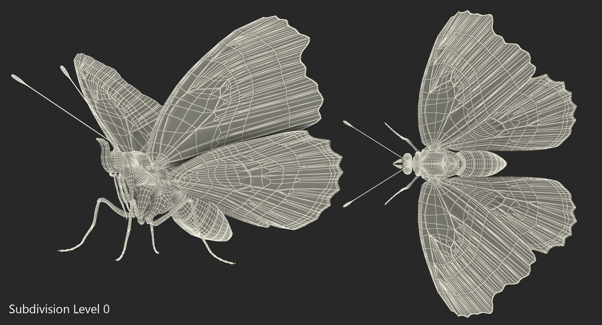 3D red admirable butterfly model https://p.turbosquid.com/ts-thumb/HH/dZWVrb/FiVhxCVI/redadmirablebutterflymb3dmodel009/jpg/1502092261/1920x1080/fit_q87/db0de77285bb448a342a839f015821aa593e2cb9/redadmirablebutterflymb3dmodel009.jpg