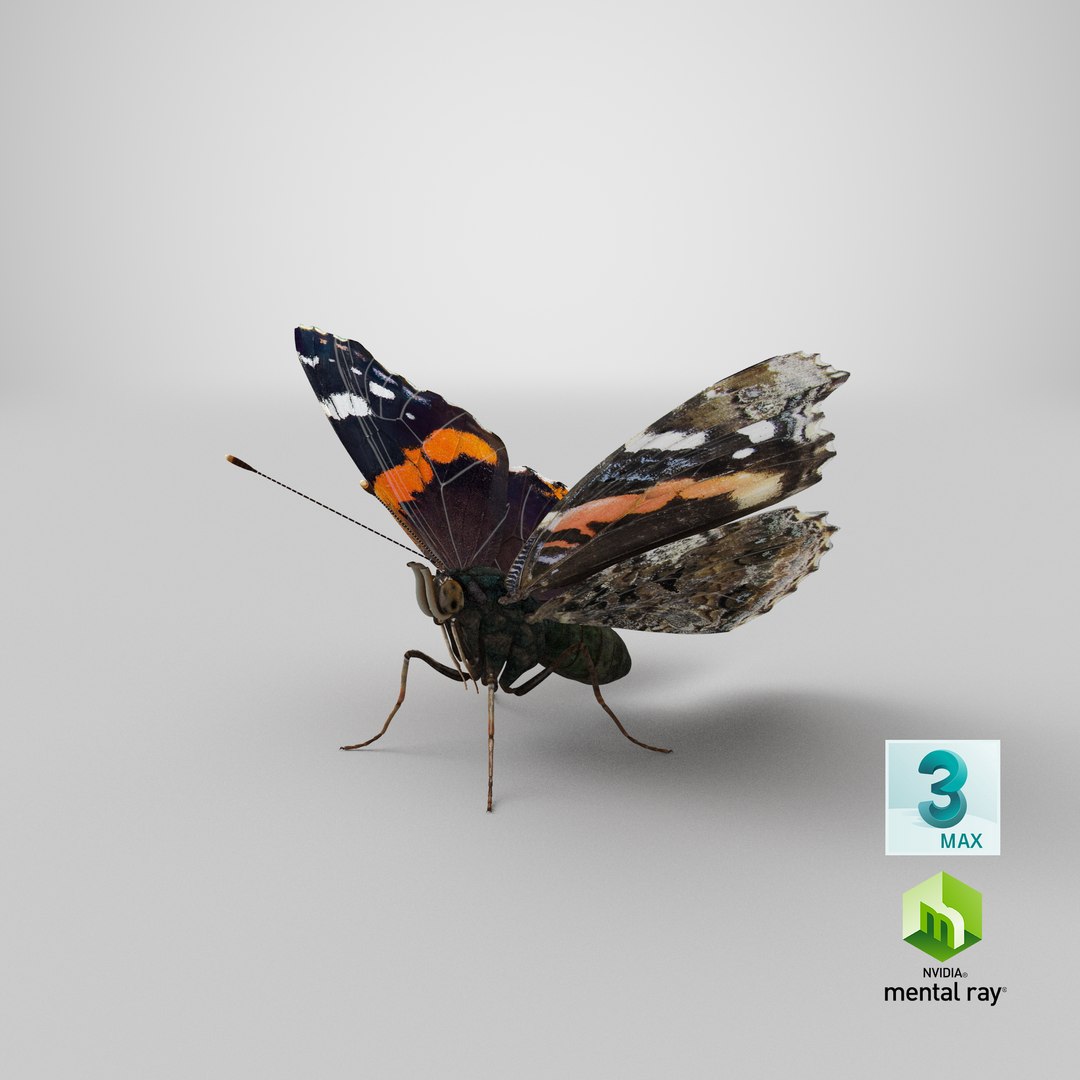 3D red admirable butterfly model https://p.turbosquid.com/ts-thumb/HH/dZWVrb/MC/stemcell_max_mental_ray_render/png/1651054548/1920x1080/fit_q87/1f444bcacbe42ee6940a879c9729c6b30494388f/stemcell_max_mental_ray_render.jpg
