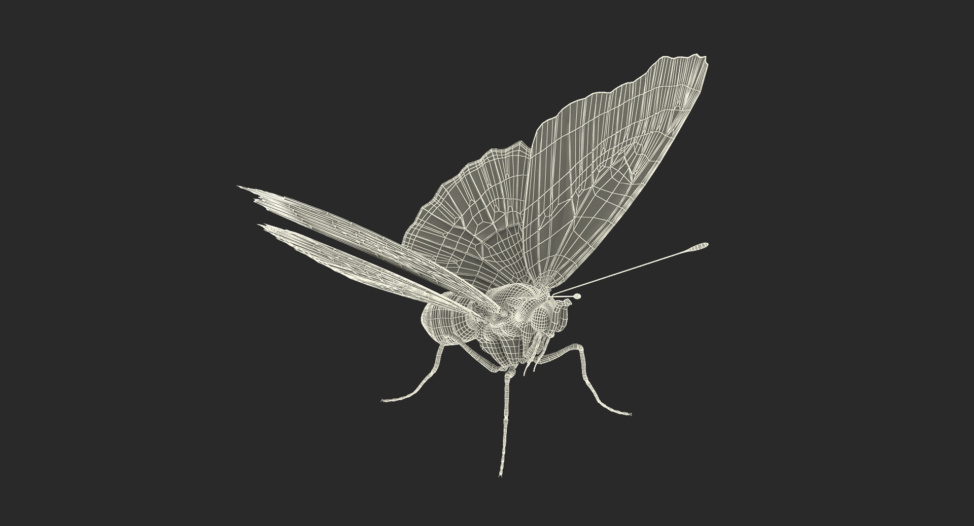 3D red admirable butterfly model https://p.turbosquid.com/ts-thumb/HH/dZWVrb/gSXn27Fb/red_admirable_butterfly_361/jpg/1502092555/1920x1080/turn_fit_q99/e1535f4f0b542ab31d1a427f3625904e84c52725/red_admirable_butterfly_361-1.jpg