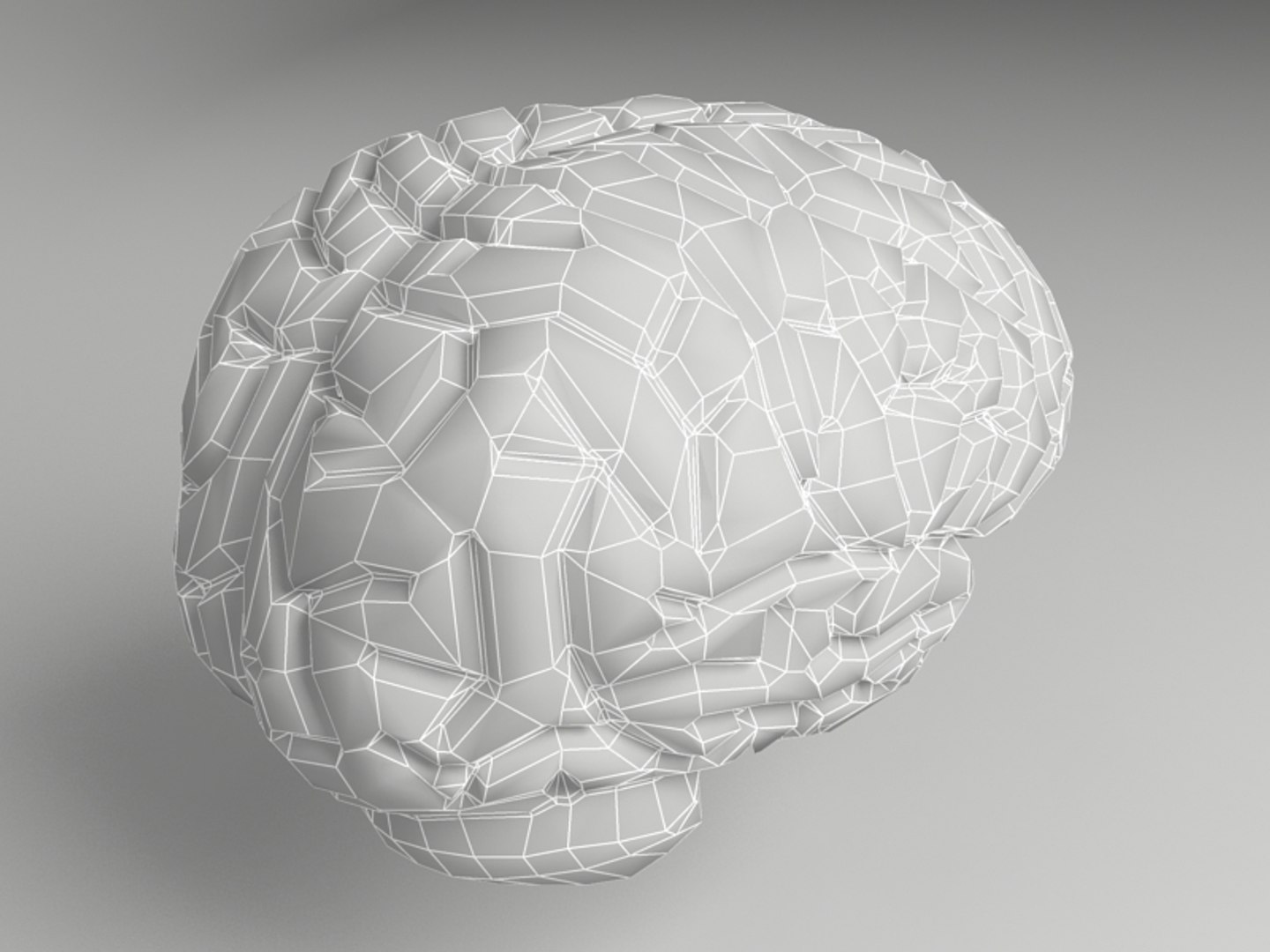 3d Max Brain Anatomy