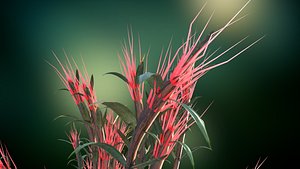 3D forest plant