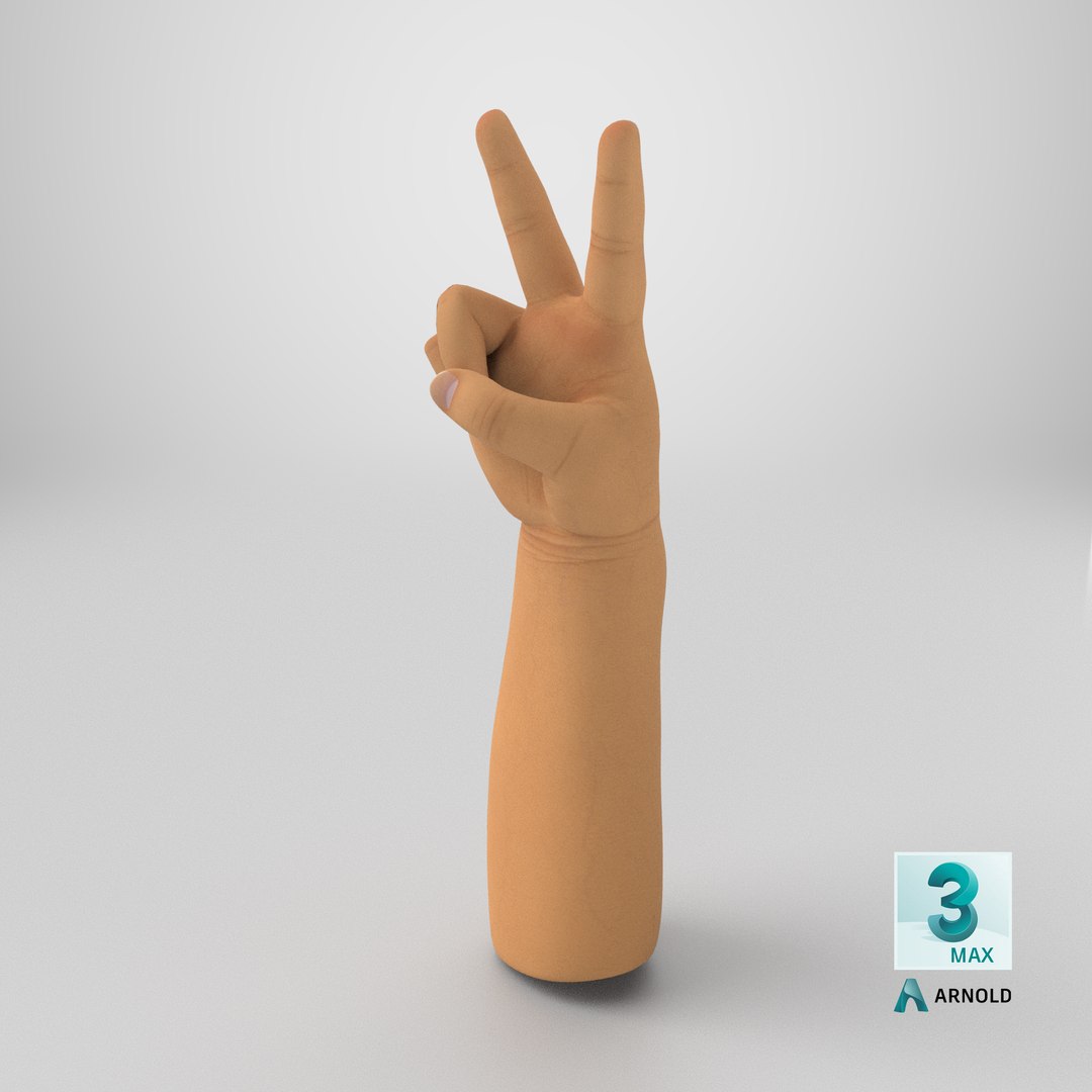 Asian Baby Hand Victory Gesture 3D model https://p.turbosquid.com/ts-thumb/HI/NBlsrQ/re/stemcell_max_arnold_render/png/1747733523/1920x1080/fit_q87/77476fb89483da04fd305596272efdd71c6e8c7d/stemcell_max_arnold_render.jpg