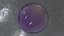Crystal Ball