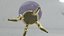 Crystal Ball