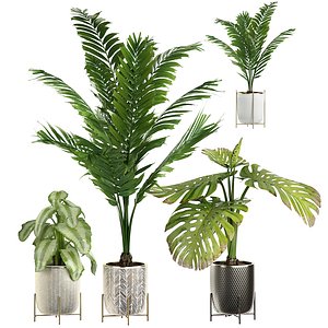 potted plants set 4 3D model