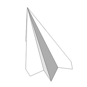 Paper Airplane