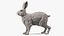 Winter White Hare Fur Rigged for Maya