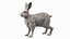 3D Winter White Hare Fur Rigged for Maya model