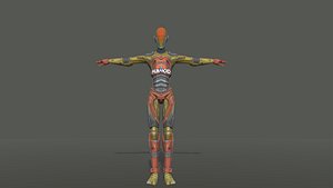 Humanoid Rig Avatar 3D model