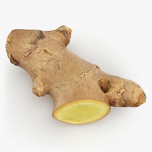 Ginger Root Half Cut 2 3D model