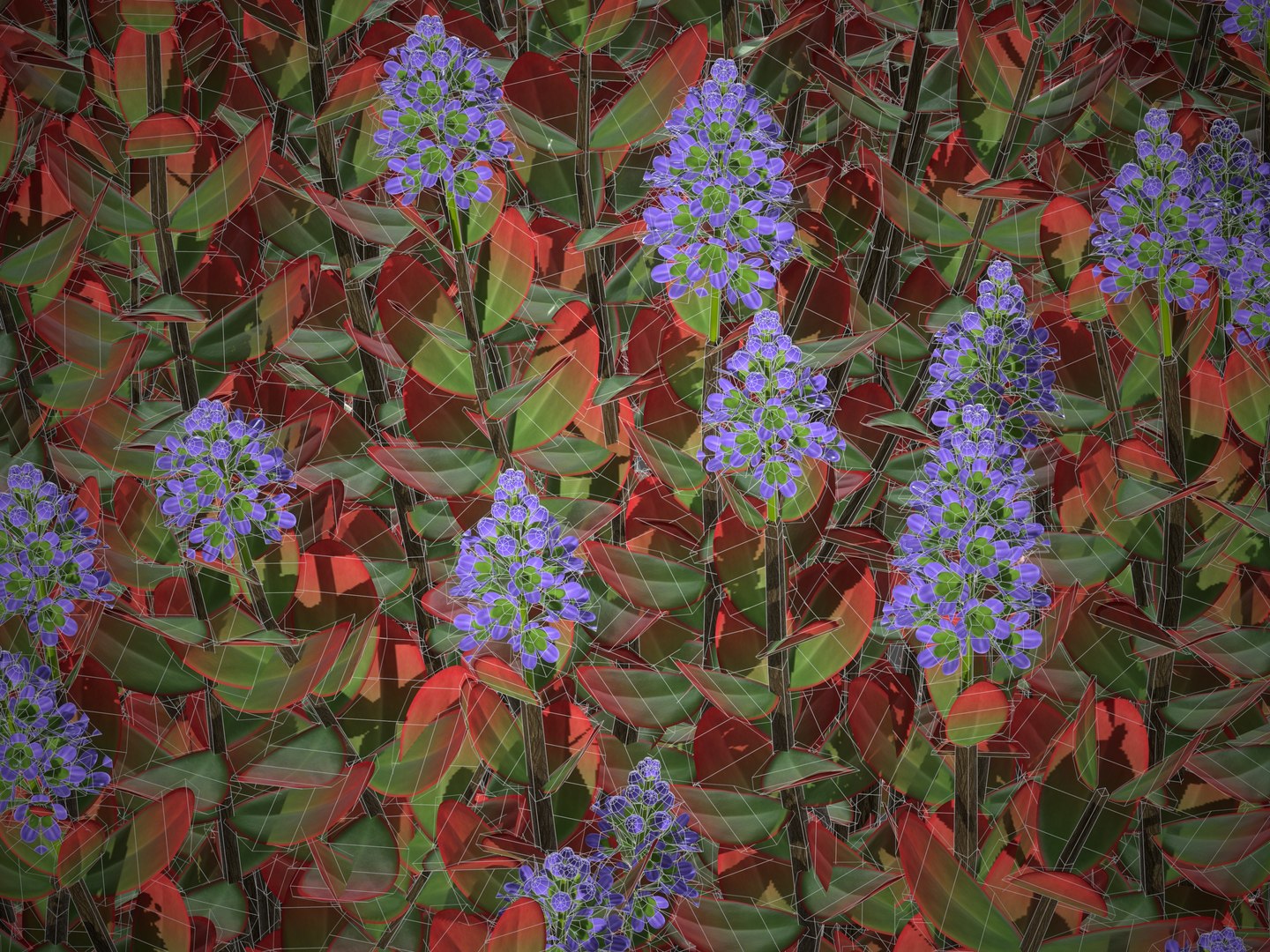 XfrogPlants Hebe Red Edge 3D model https://p.turbosquid.com/ts-thumb/HJ/Yeo90M/aH/screenshot030/jpg/1620943293/1920x1080/fit_q87/8cb432a59586f386a27124d68cb45f7d594b32b2/screenshot030.jpg