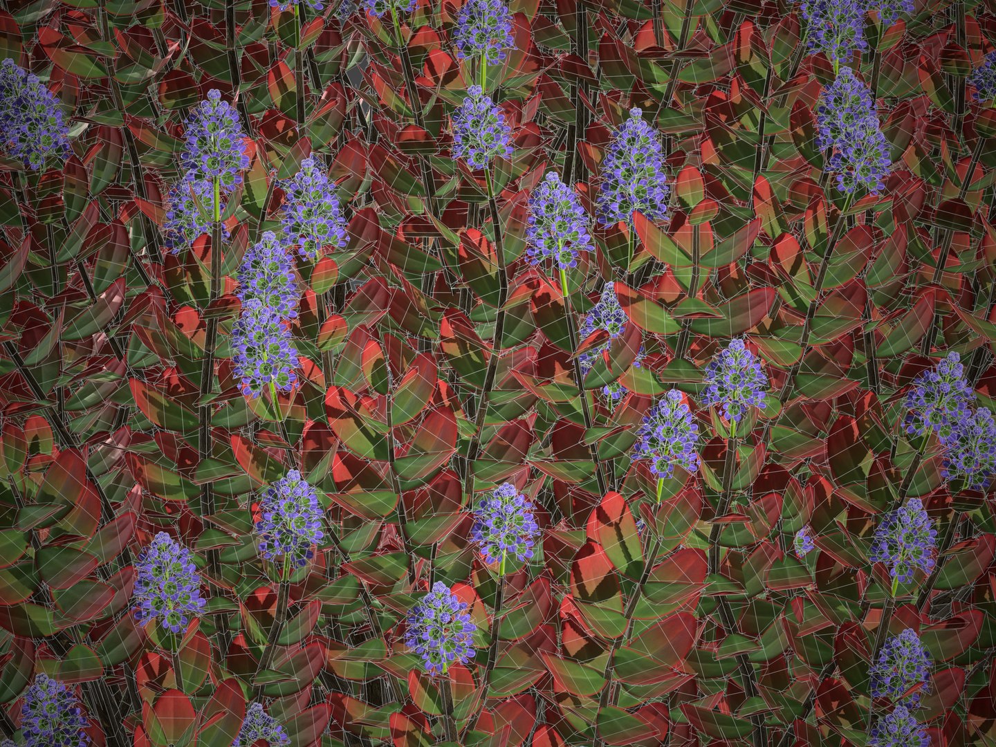 XfrogPlants Hebe Red Edge 3D model https://p.turbosquid.com/ts-thumb/HJ/Yeo90M/yU/screenshot029/jpg/1620943293/1920x1080/fit_q87/93f7ed62f9946cd42be11c48ffe4509409b8292c/screenshot029.jpg