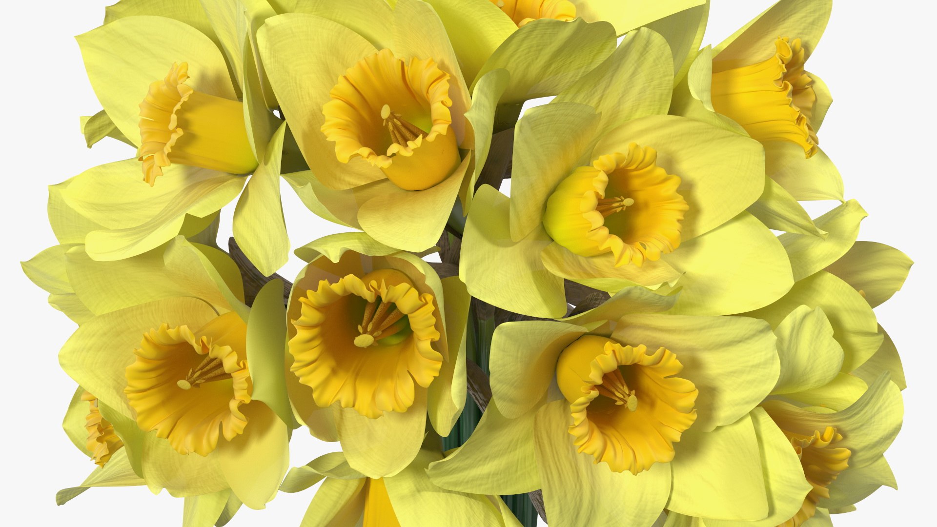 3D Daffodils Bouquet - TurboSquid 2092081