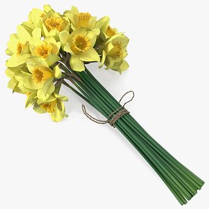 3D Daffodils Bouquet