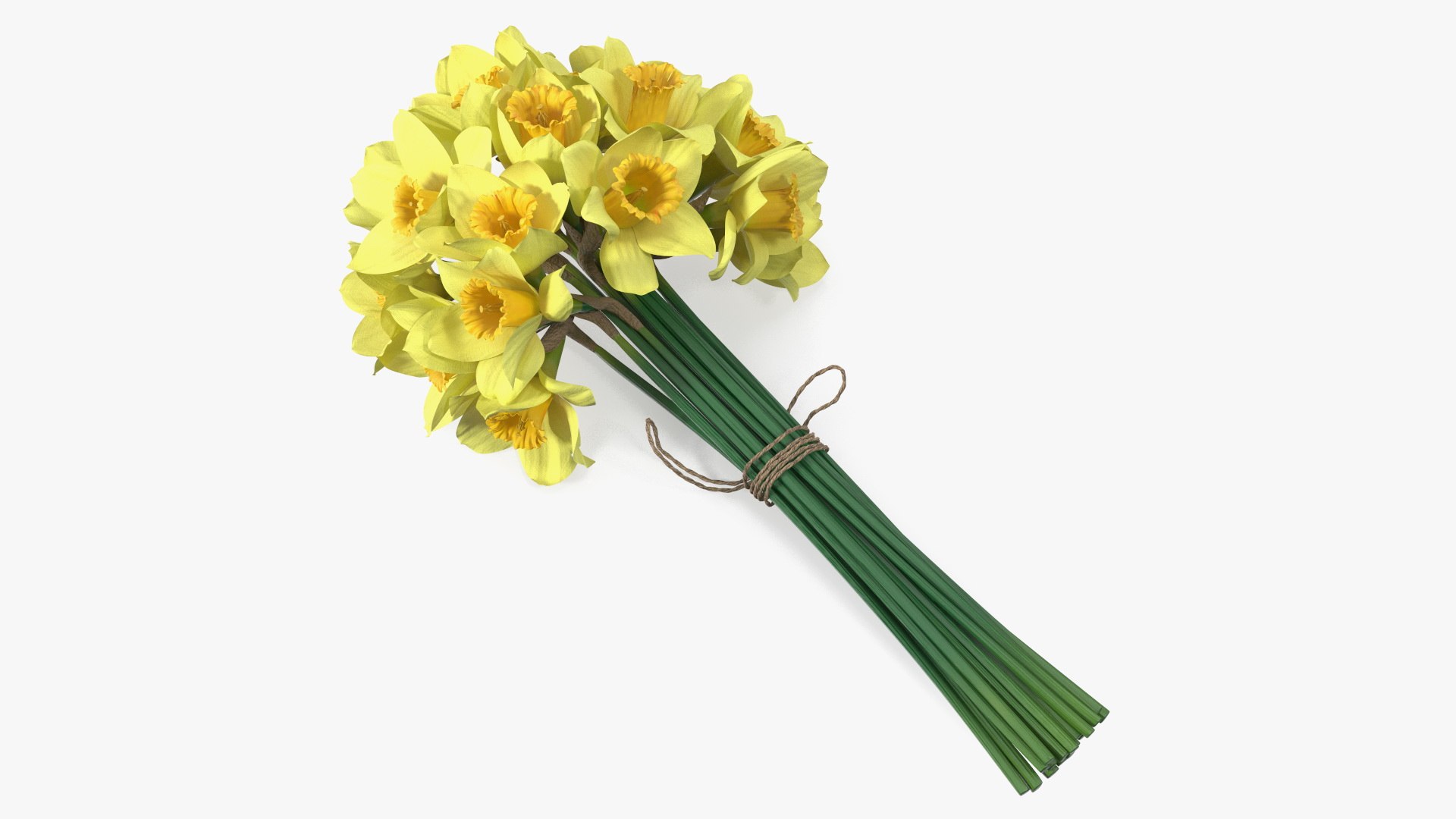 Daffodils Bouquet 3D model preview