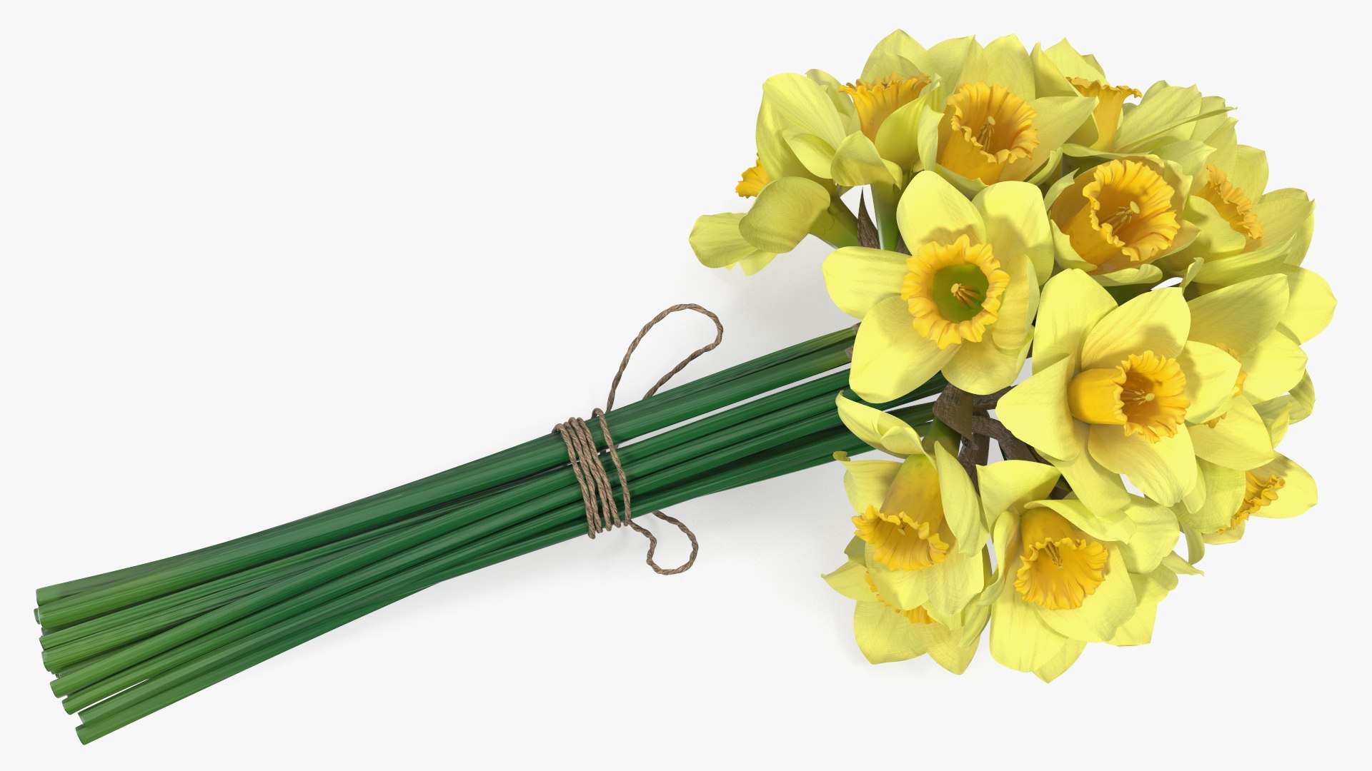 3D Daffodils Bouquet - TurboSquid 2092081