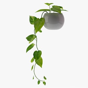 3d model money plant